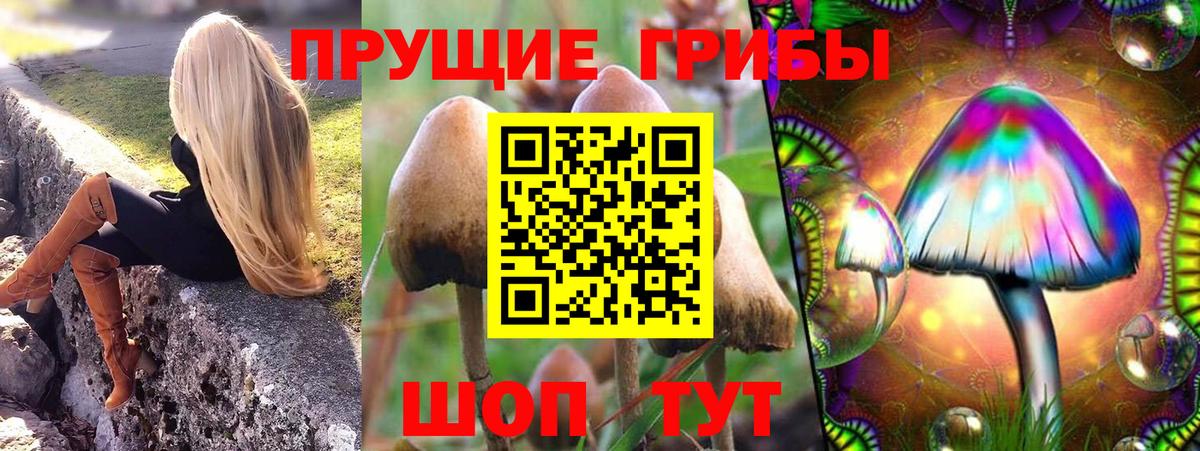 Псилоцибиновые грибы мухоморы  купить  цена  Малоярославец  Вход с VPN 